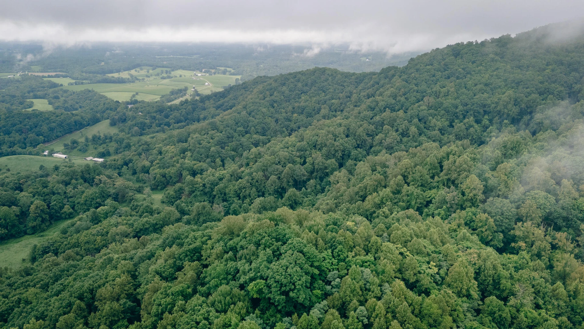 0 Crowell Gap RD - Photo 10