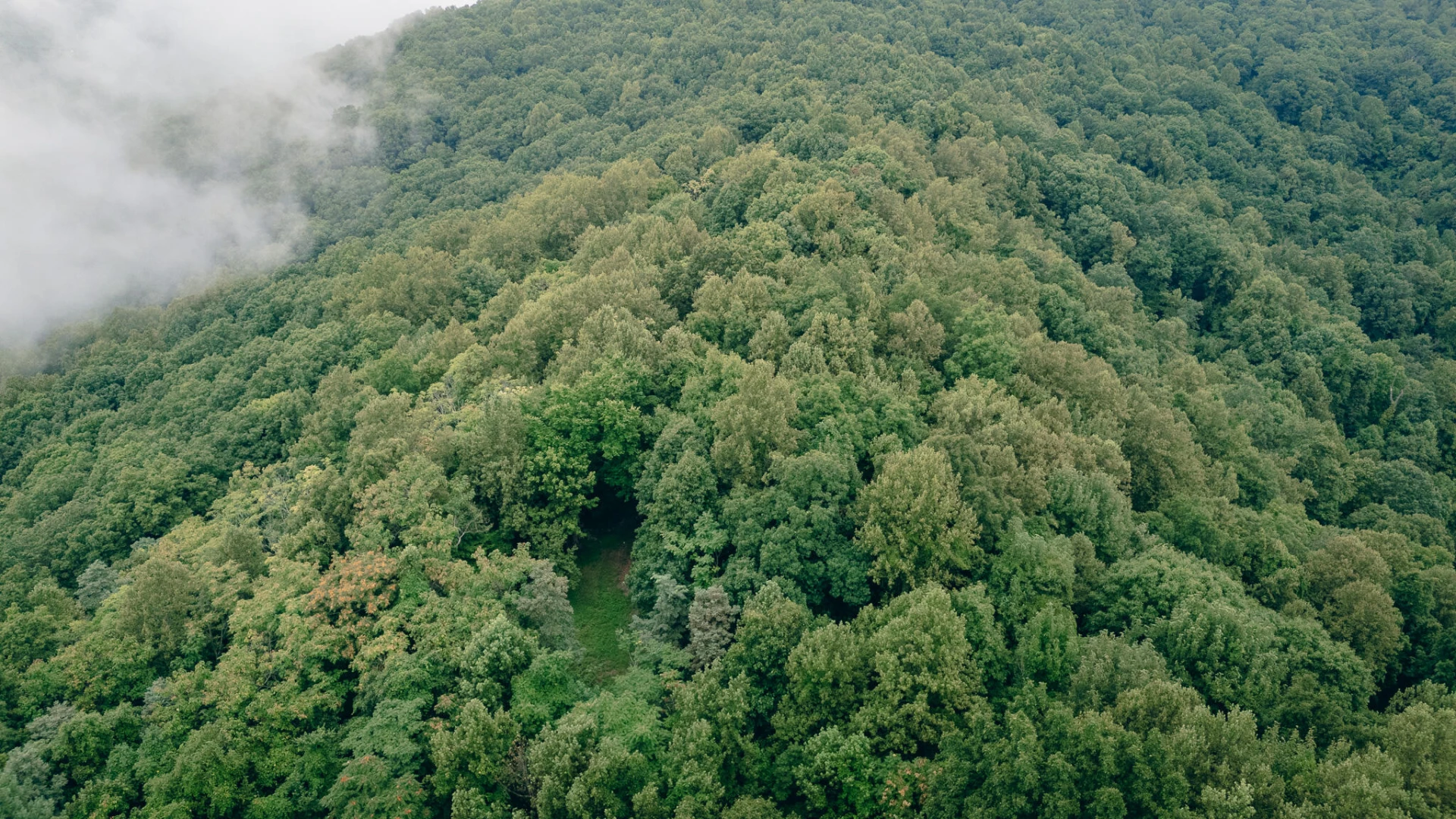 0 Crowell Gap RD - Photo 13