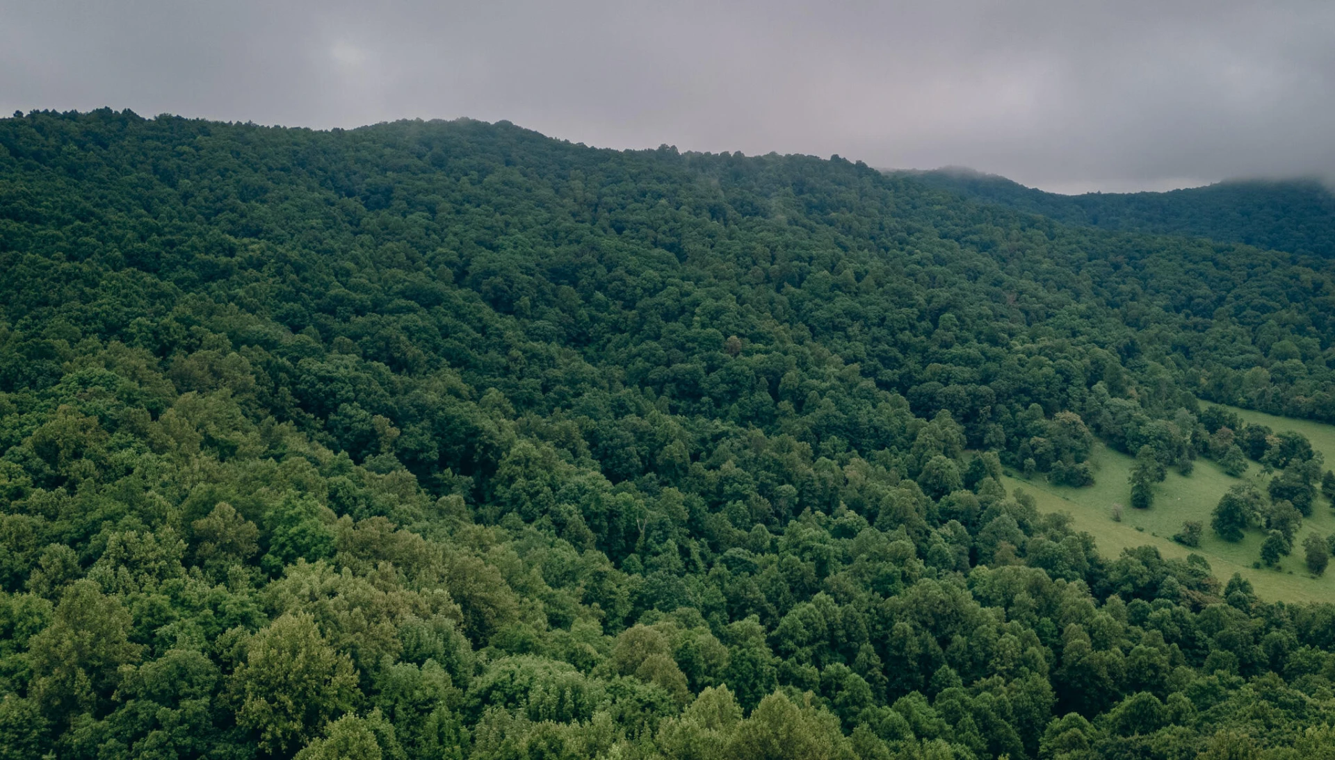0 Crowell Gap RD - Photo 14