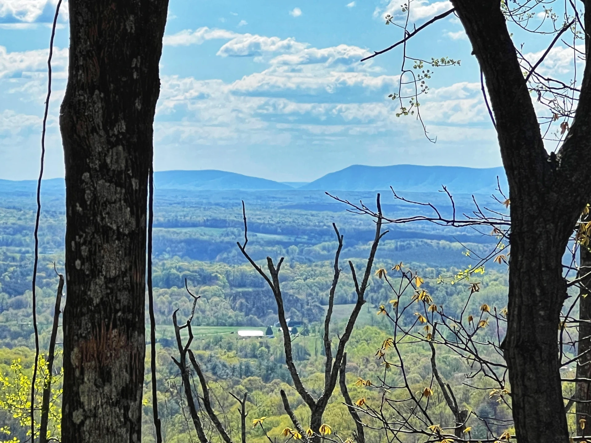 0 Crowell Gap RD - Photo 18