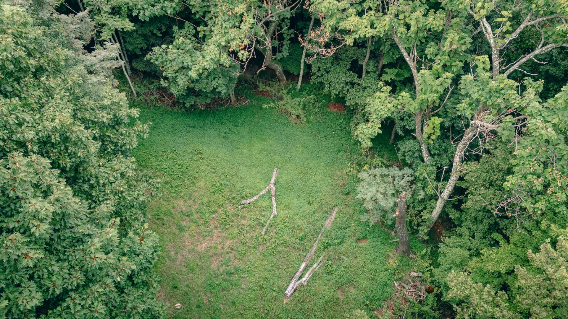 0 Crowell Gap RD - Photo 2