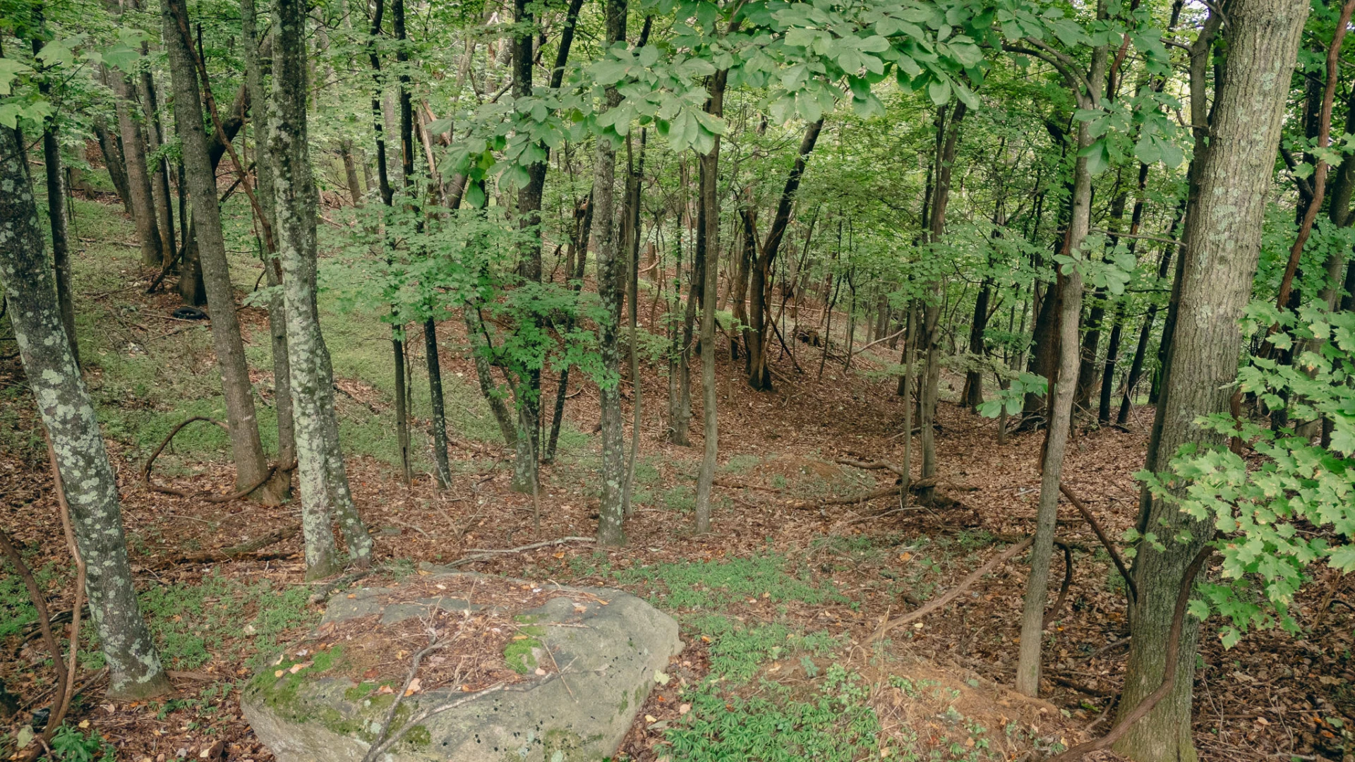 0 Crowell Gap RD - Photo 3