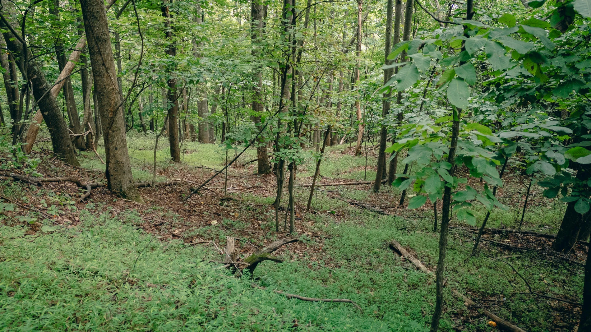 0 Crowell Gap RD - Photo 5