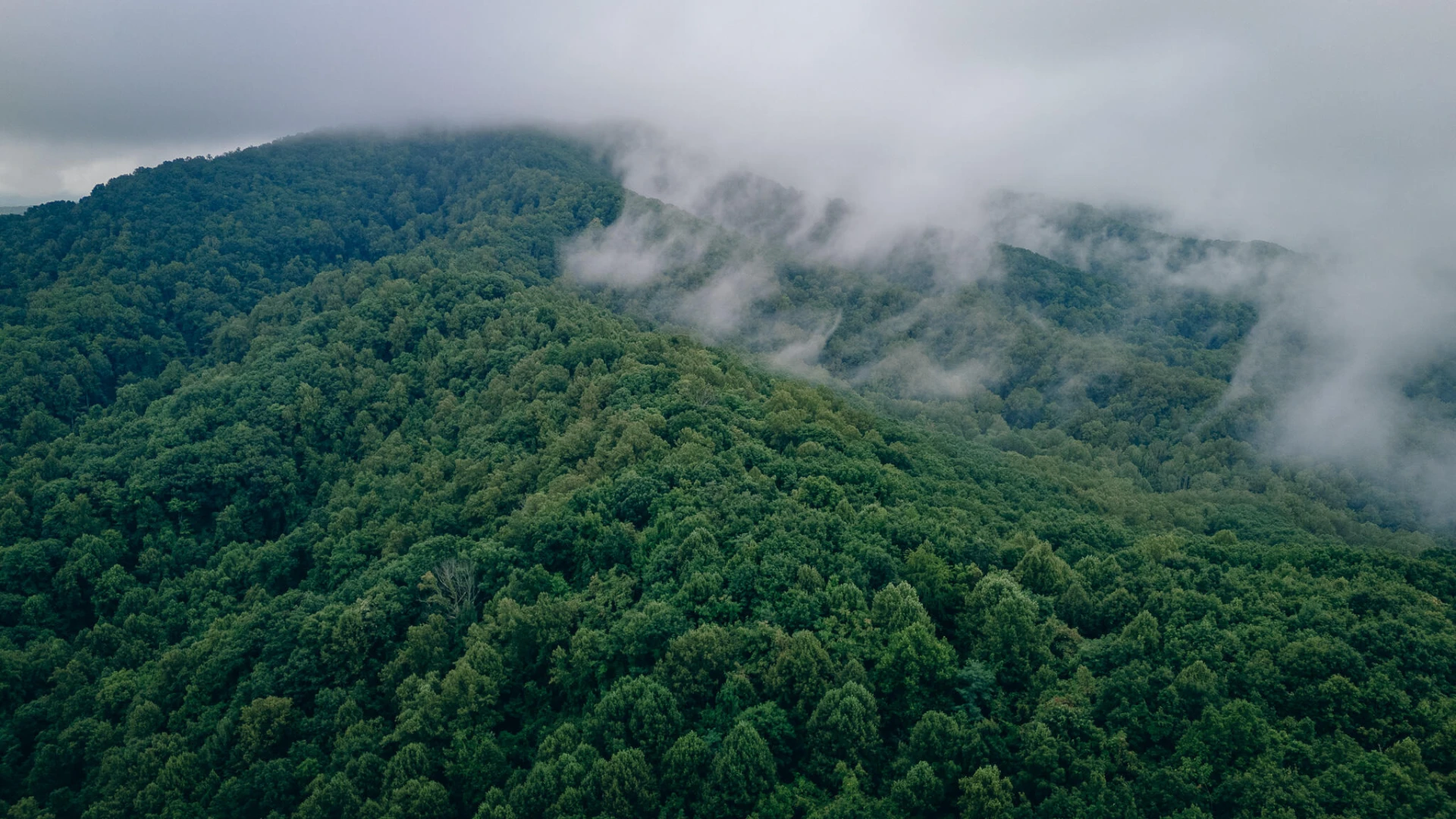 0 Crowell Gap RD - Photo 6