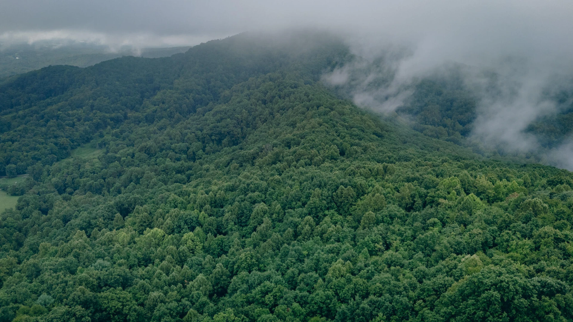 0 Crowell Gap RD - Photo 7