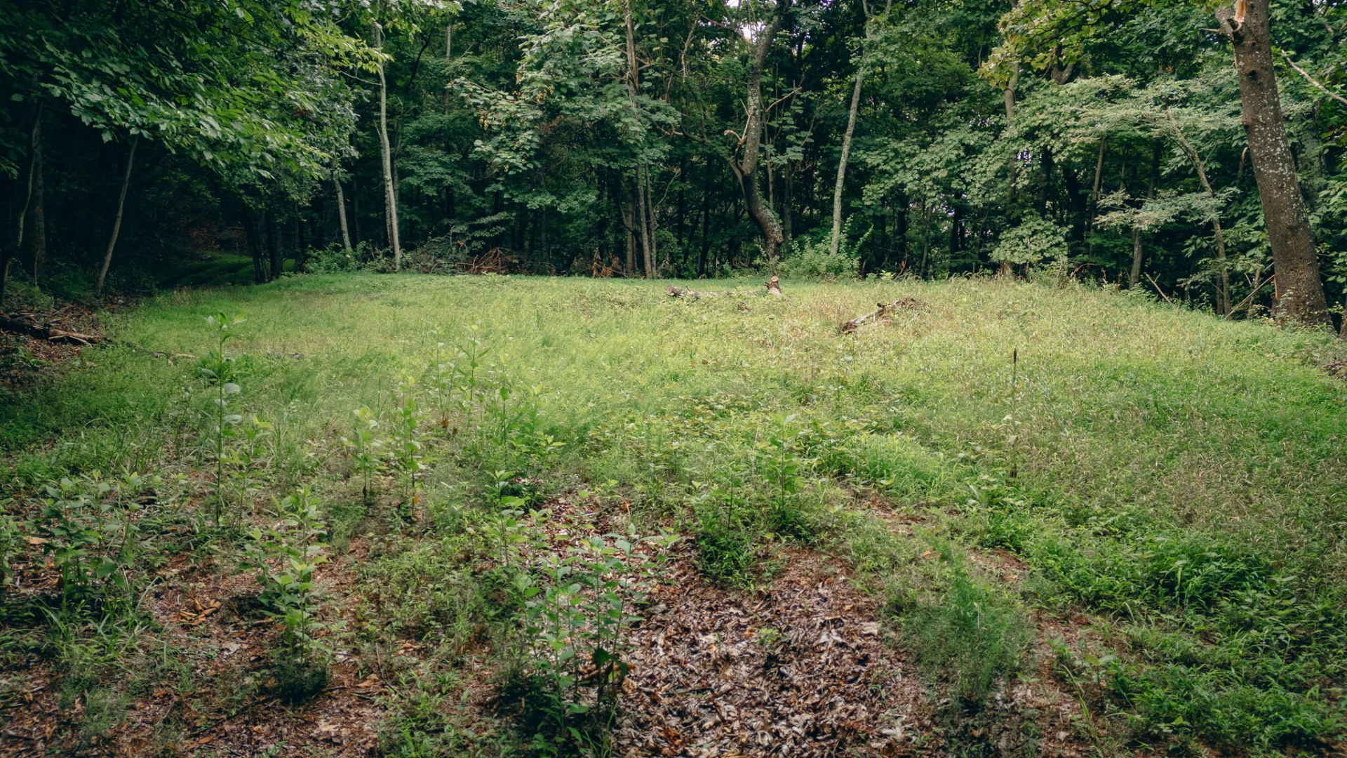 0 Crowell Gap RD - Photo 8