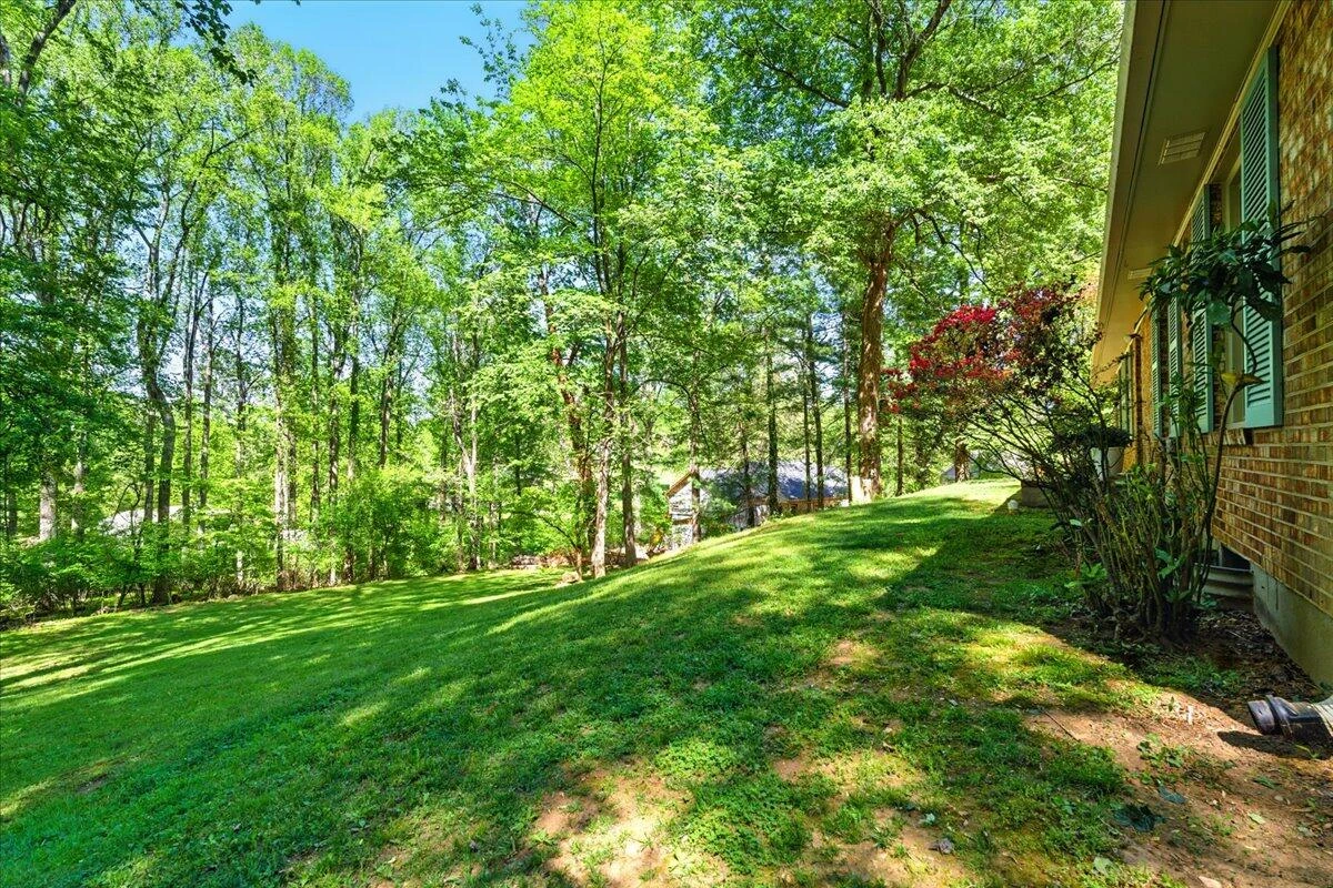 1228 Rendezvous LN - Photo 43