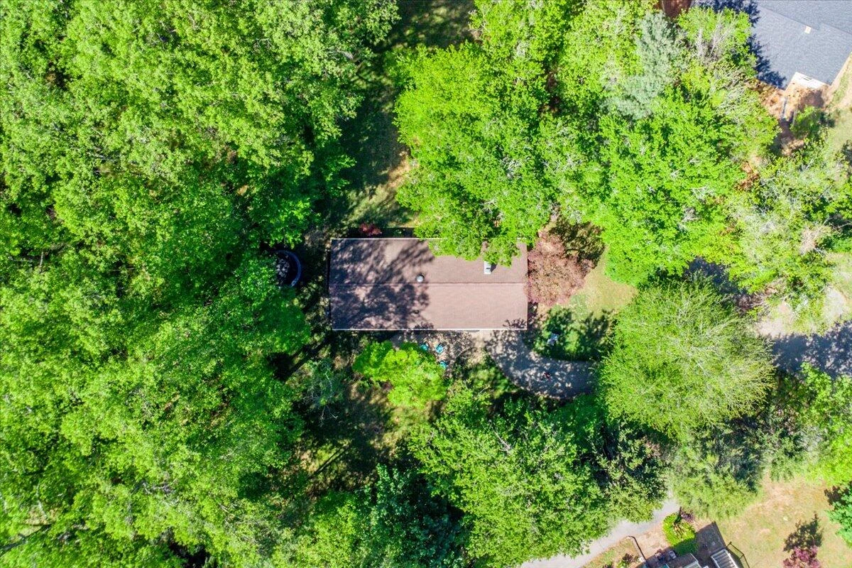 1228 Rendezvous LN - Photo 46