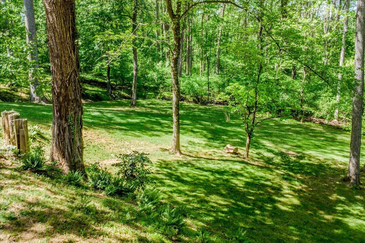 1228 Rendezvous LN - Photo 47