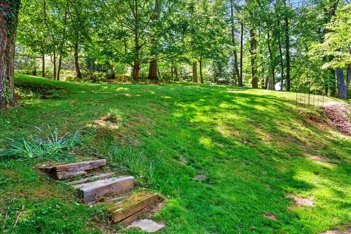 1228 Rendezvous LN - Photo 48