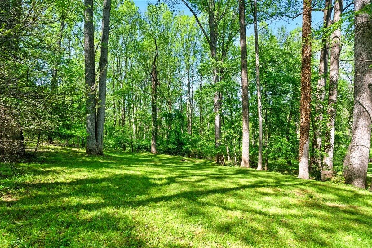1228 Rendezvous LN - Photo 49