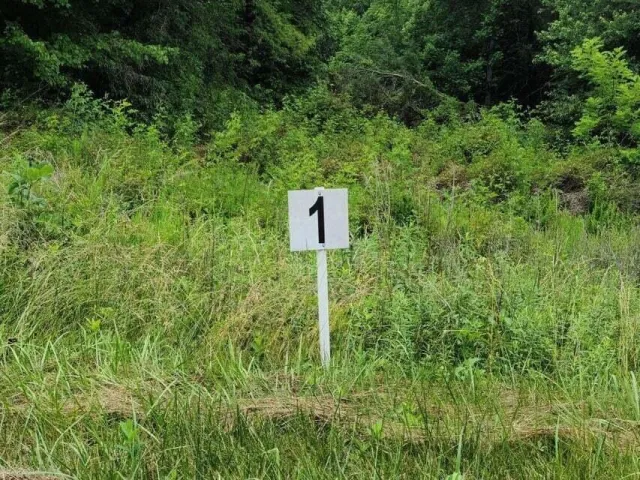 Lot 1 Dillards Hill RD, Union Hall, VA, 24176