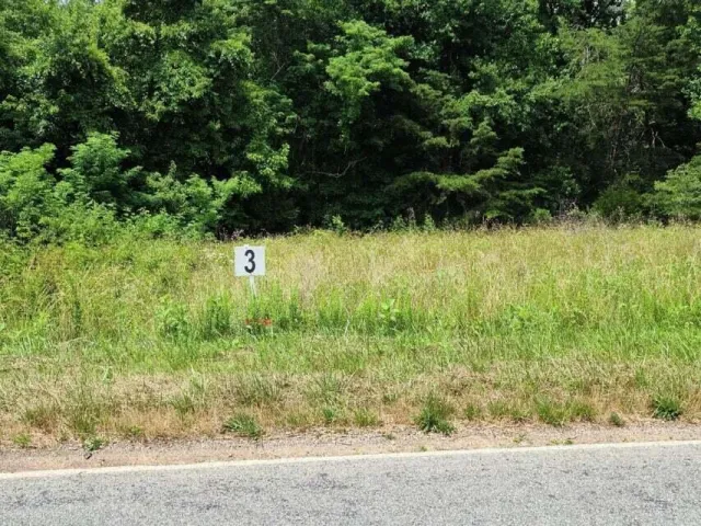 Lot 3 Dillards Hill RD, Union Hall, VA, 24176