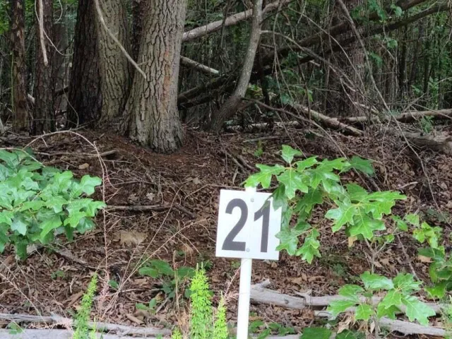 Lot 21 Belle Isle DR, Union Hall, VA, 24176