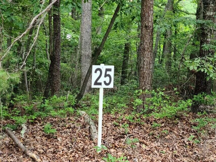 Lot 25 Belle Isle DR