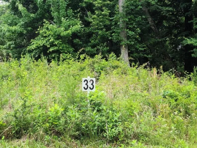 Lot 33 Dillards Hill RD, Union Hall, VA, 24176