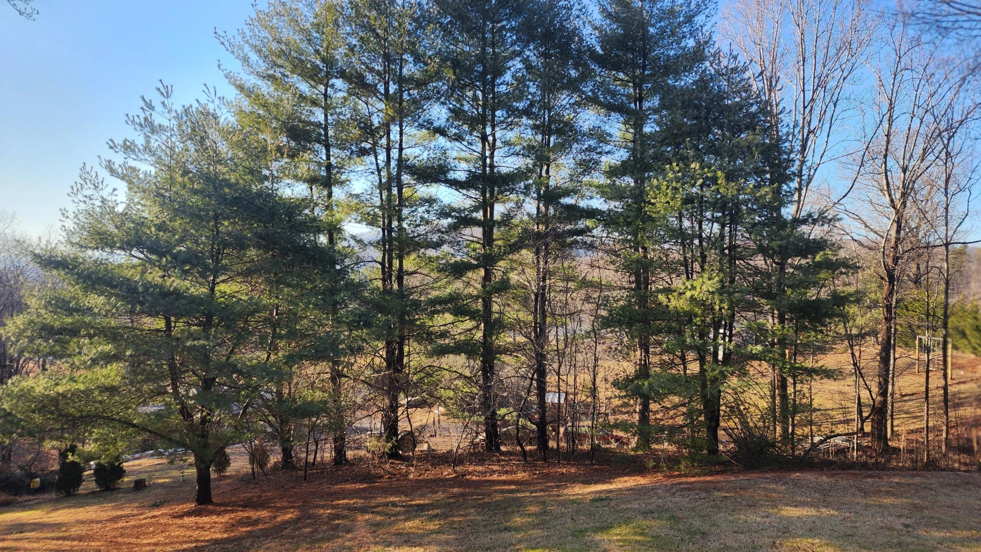 1343 Evans RD - Photo 17