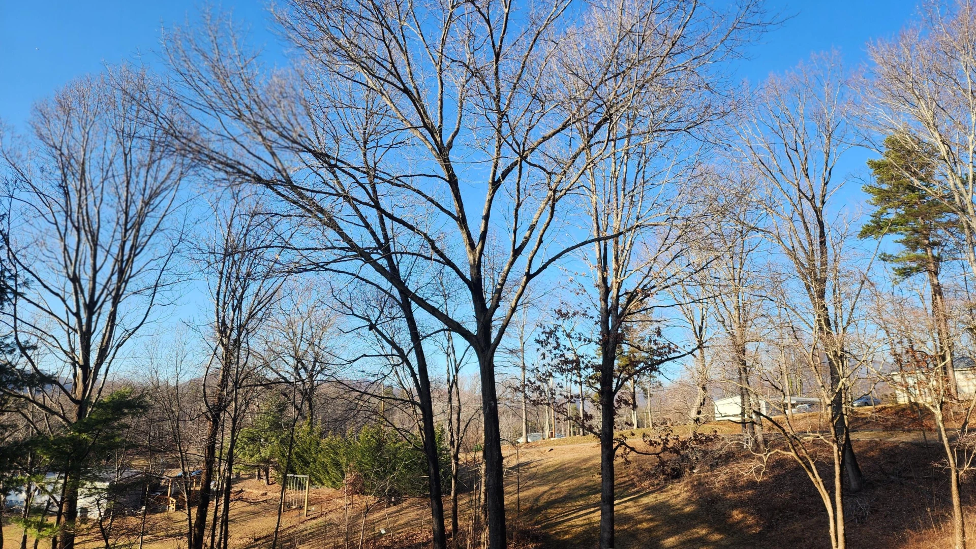 1343 Evans RD - Photo 18