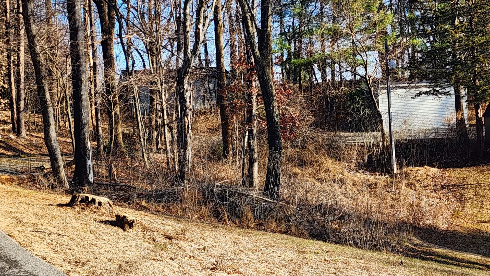 1343 Evans RD - Photo 3
