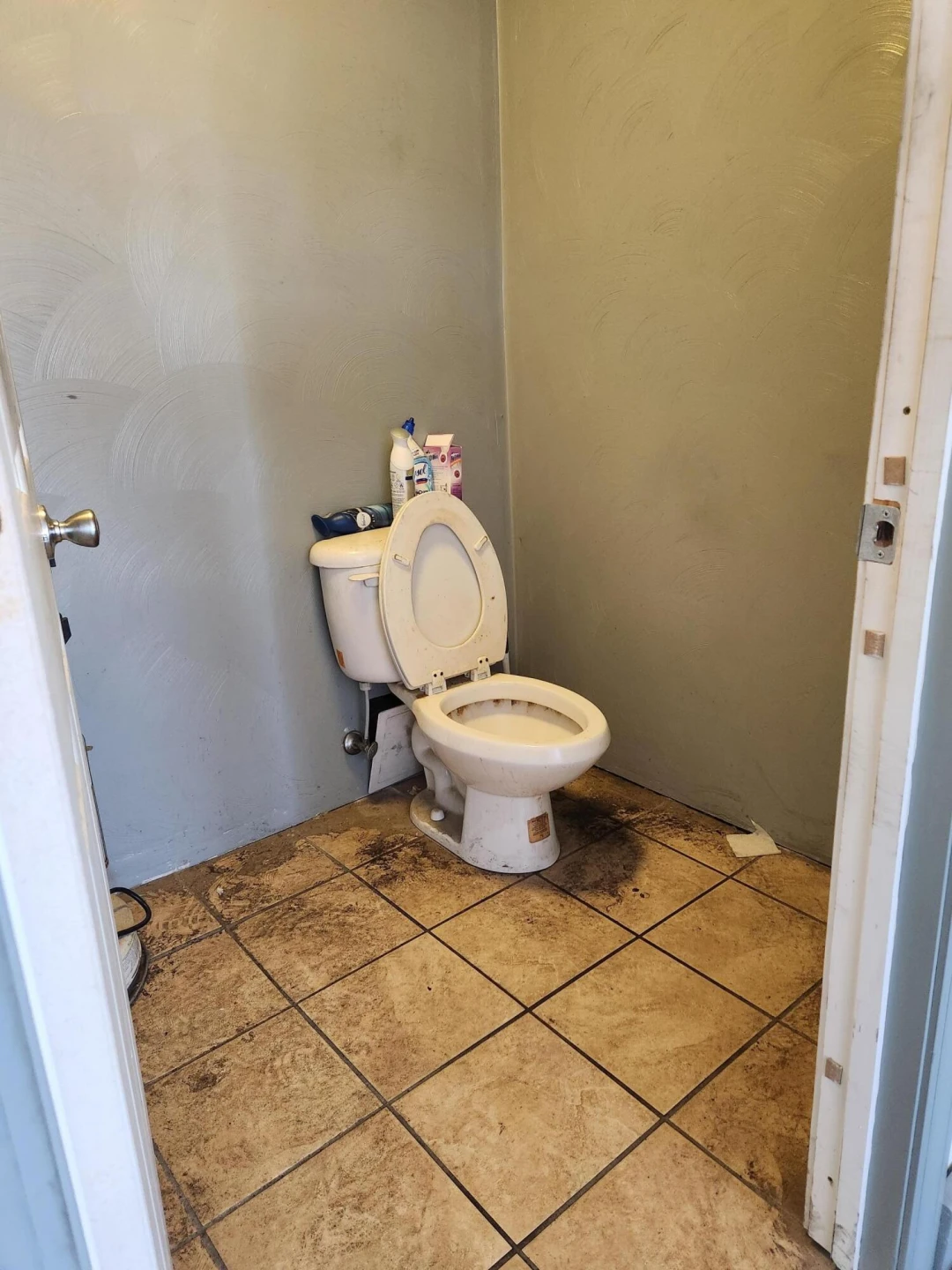 1255 NORFOLK AVE - Photo 10