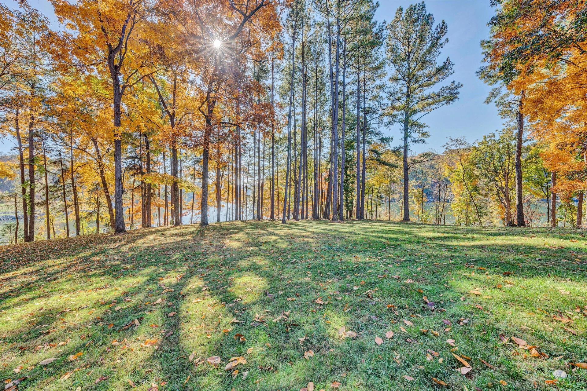 1180 Emmitt LN - Photo 50