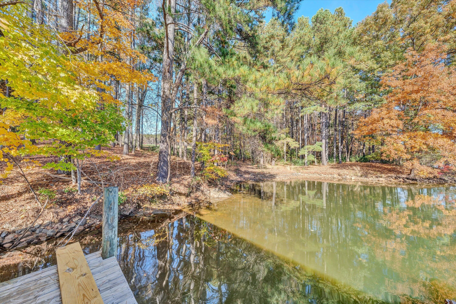 1180 Emmitt LN - Photo 67