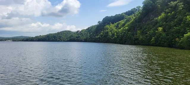 5588 Nunn Hollow RD, Hiwassee, VA, 24347