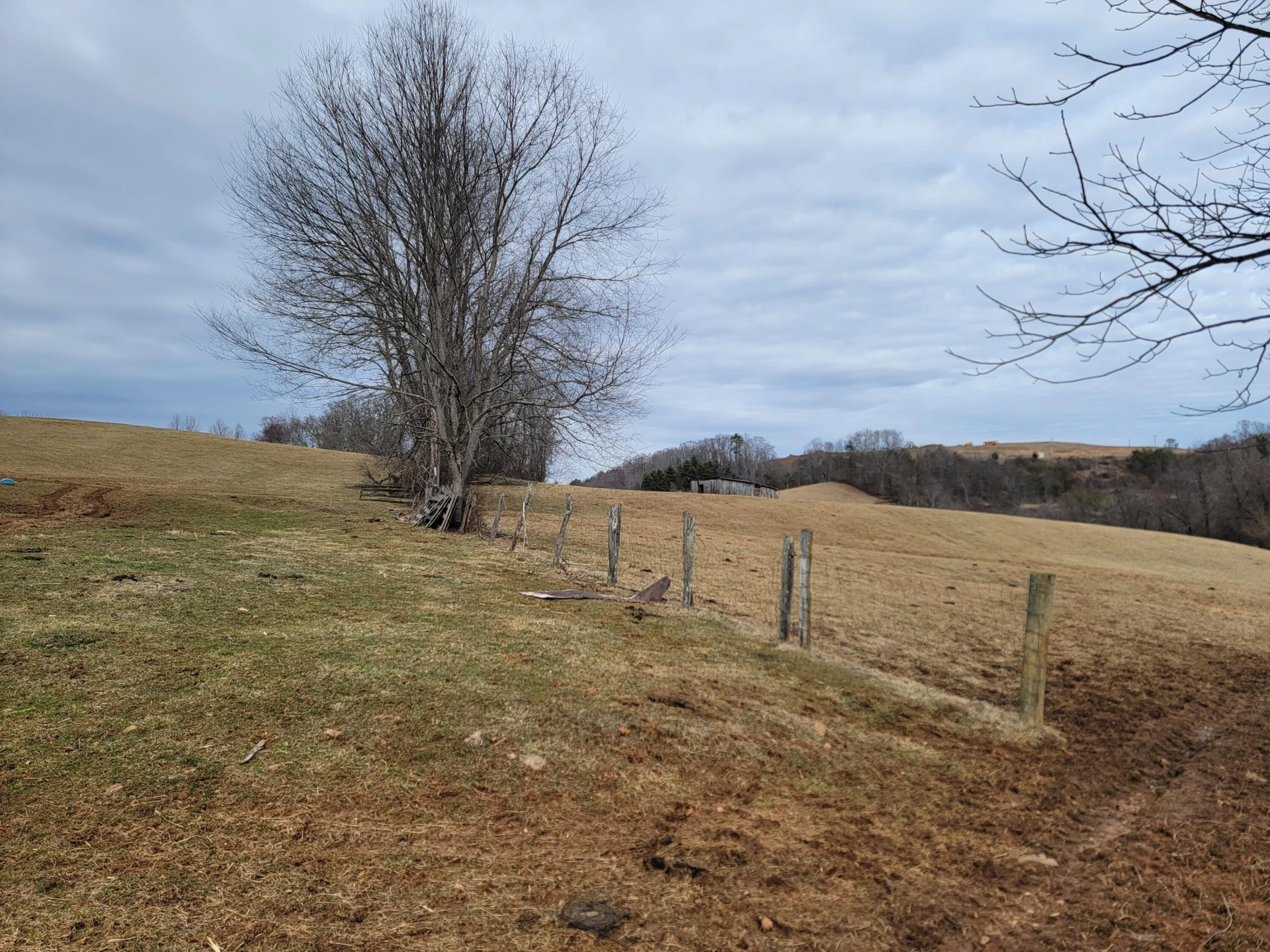 1154 Old Galax Pike - Photo 10