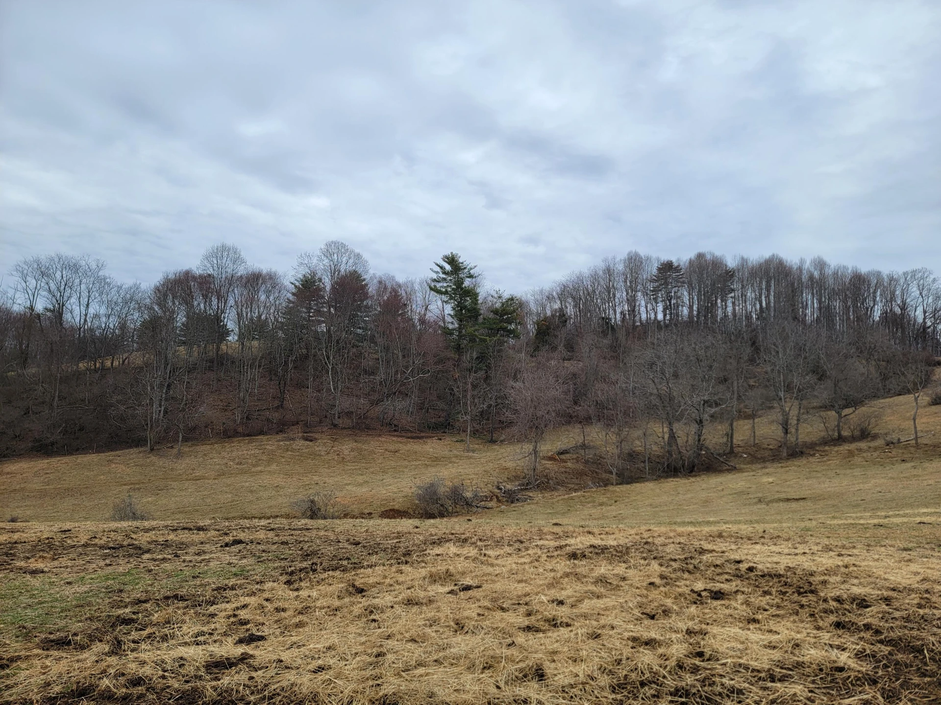 1154 Old Galax Pike - Photo 12