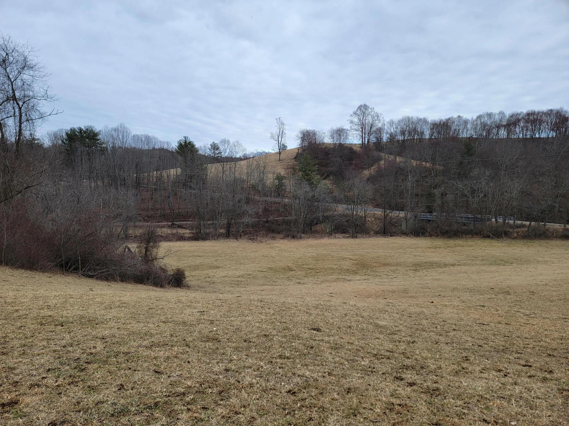 1154 Old Galax Pike - Photo 13