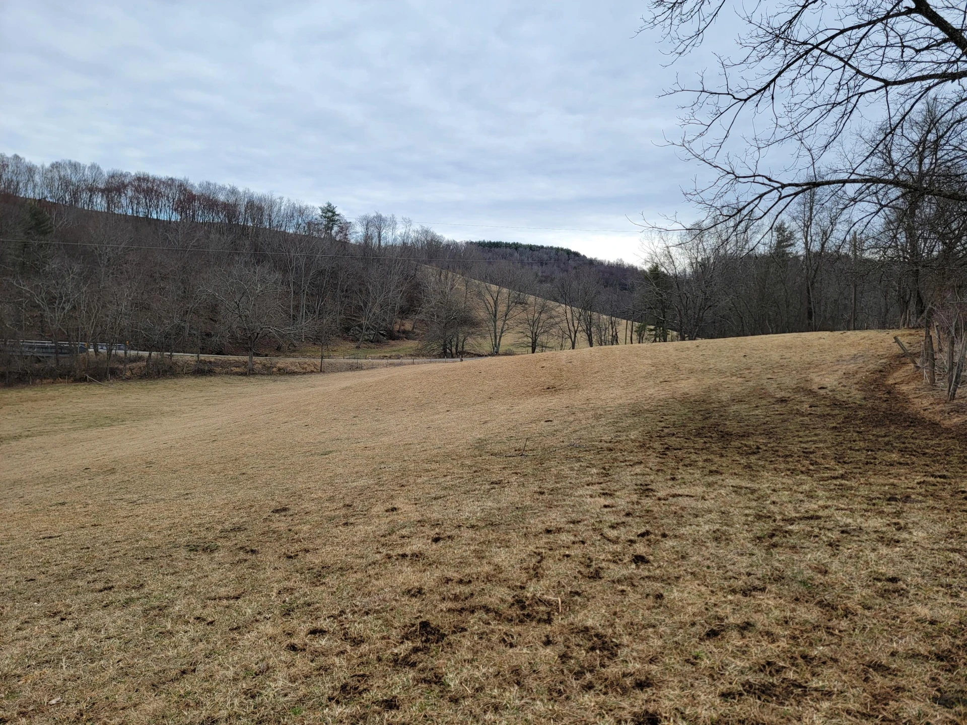 1154 Old Galax Pike - Photo 14