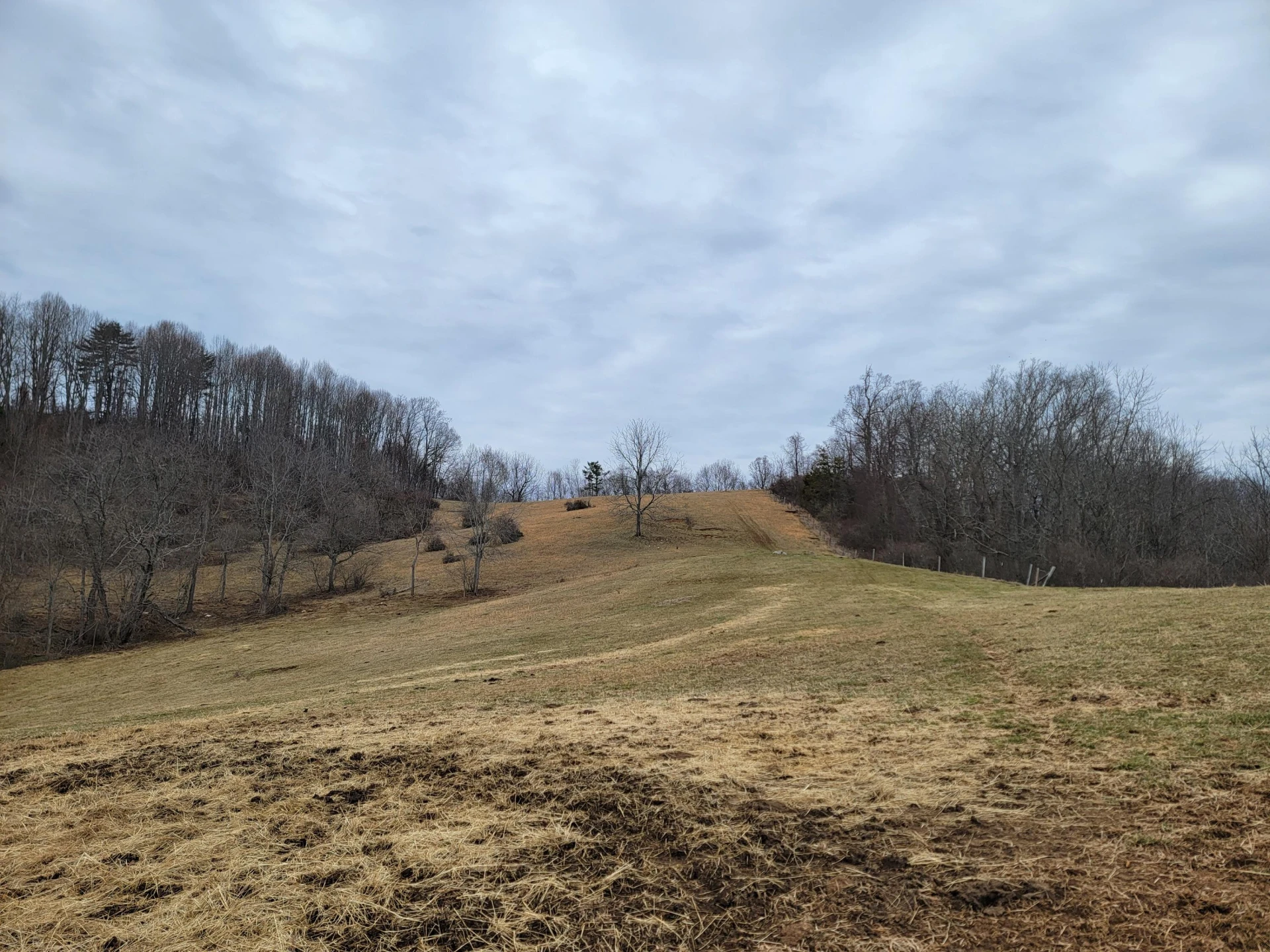 1154 Old Galax Pike - Photo 3