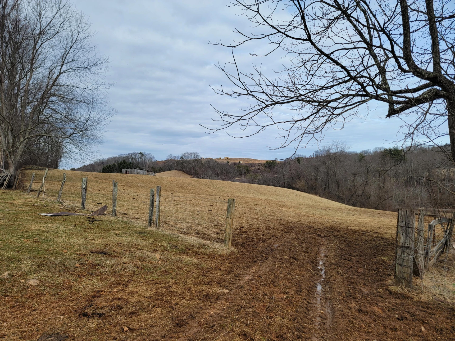 1154 Old Galax Pike - Photo 5