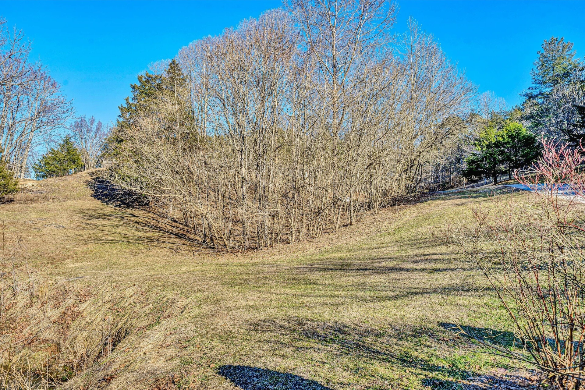 3446 Mount Joy RD - Photo 58