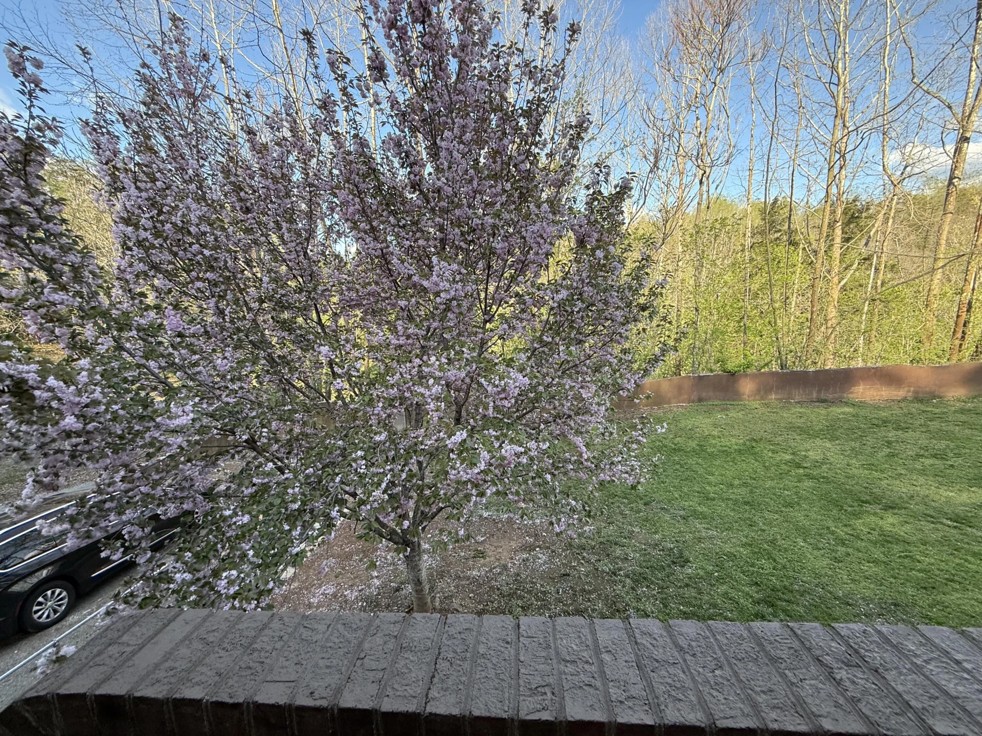 3446 Mount Joy RD - Photo 64
