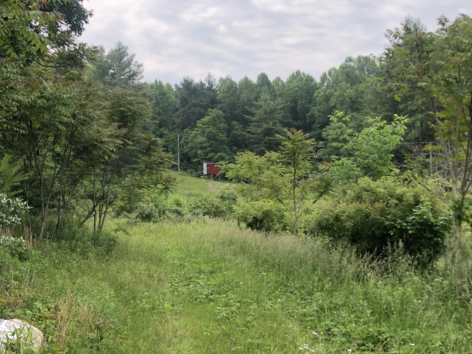 629 Paradise LN - Photo 27