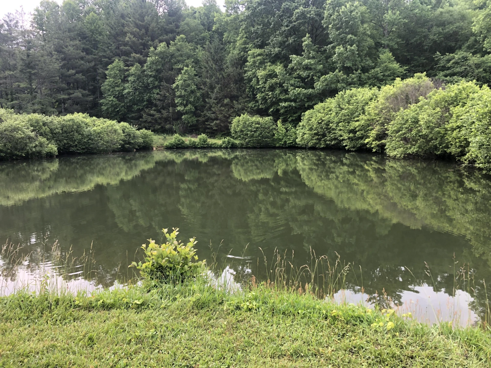 629 Paradise LN - Photo 31