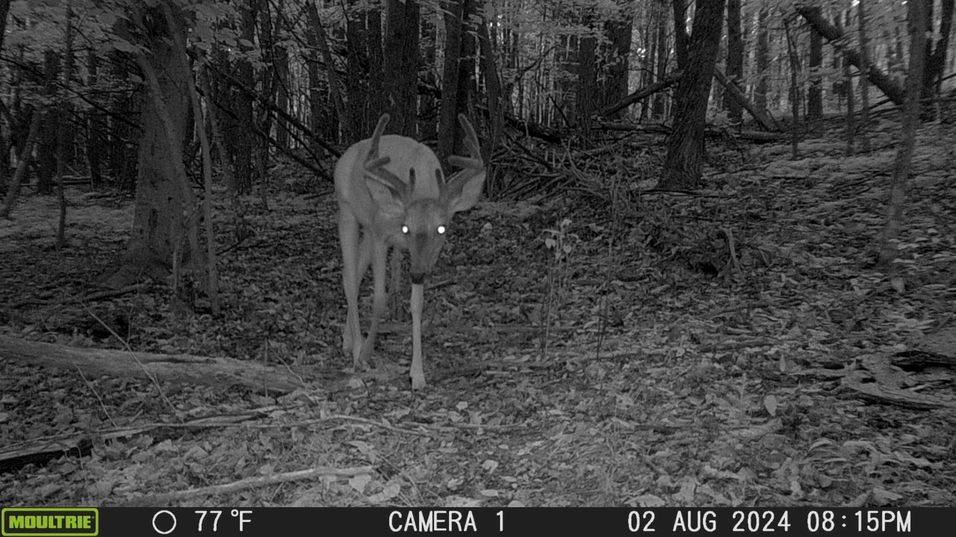 5359 Booker T Washington Hwy - Photo 27