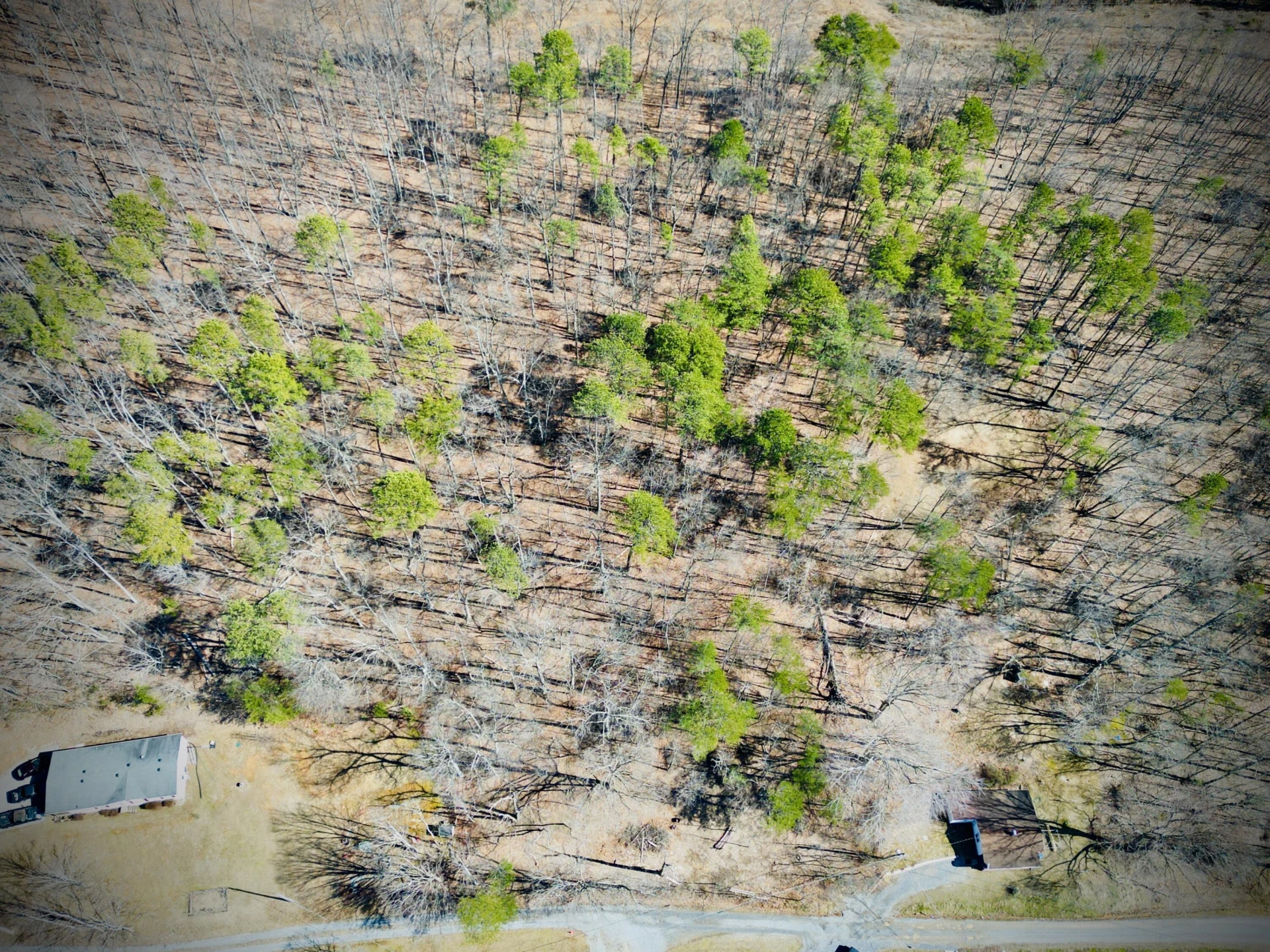 0 Laymantown RD - Photo 10