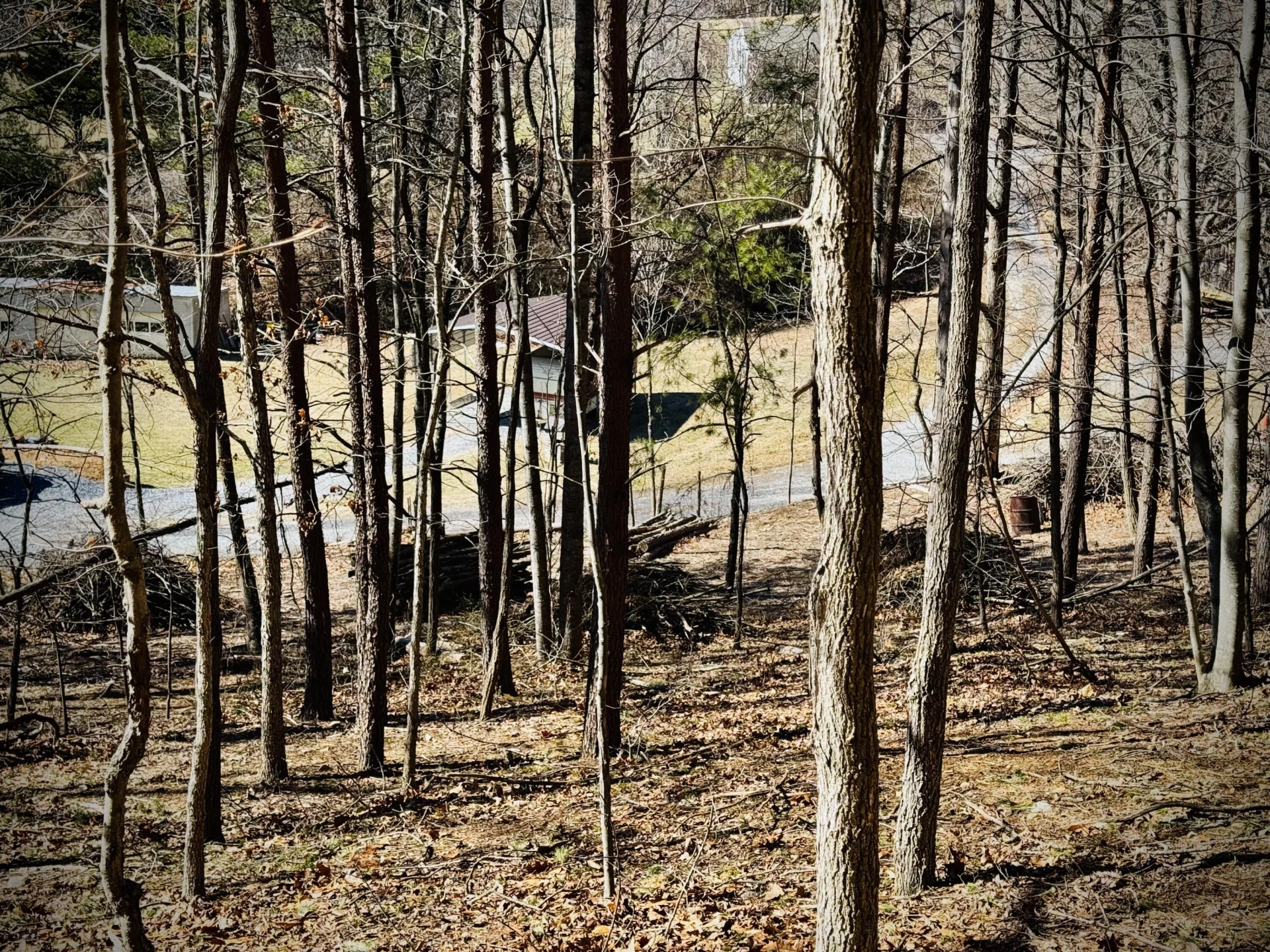 0 Laymantown RD - Photo 13