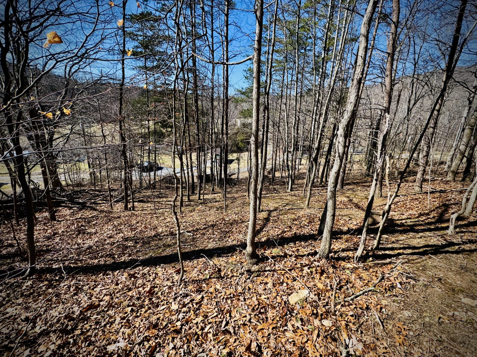 0 Laymantown RD - Photo 15