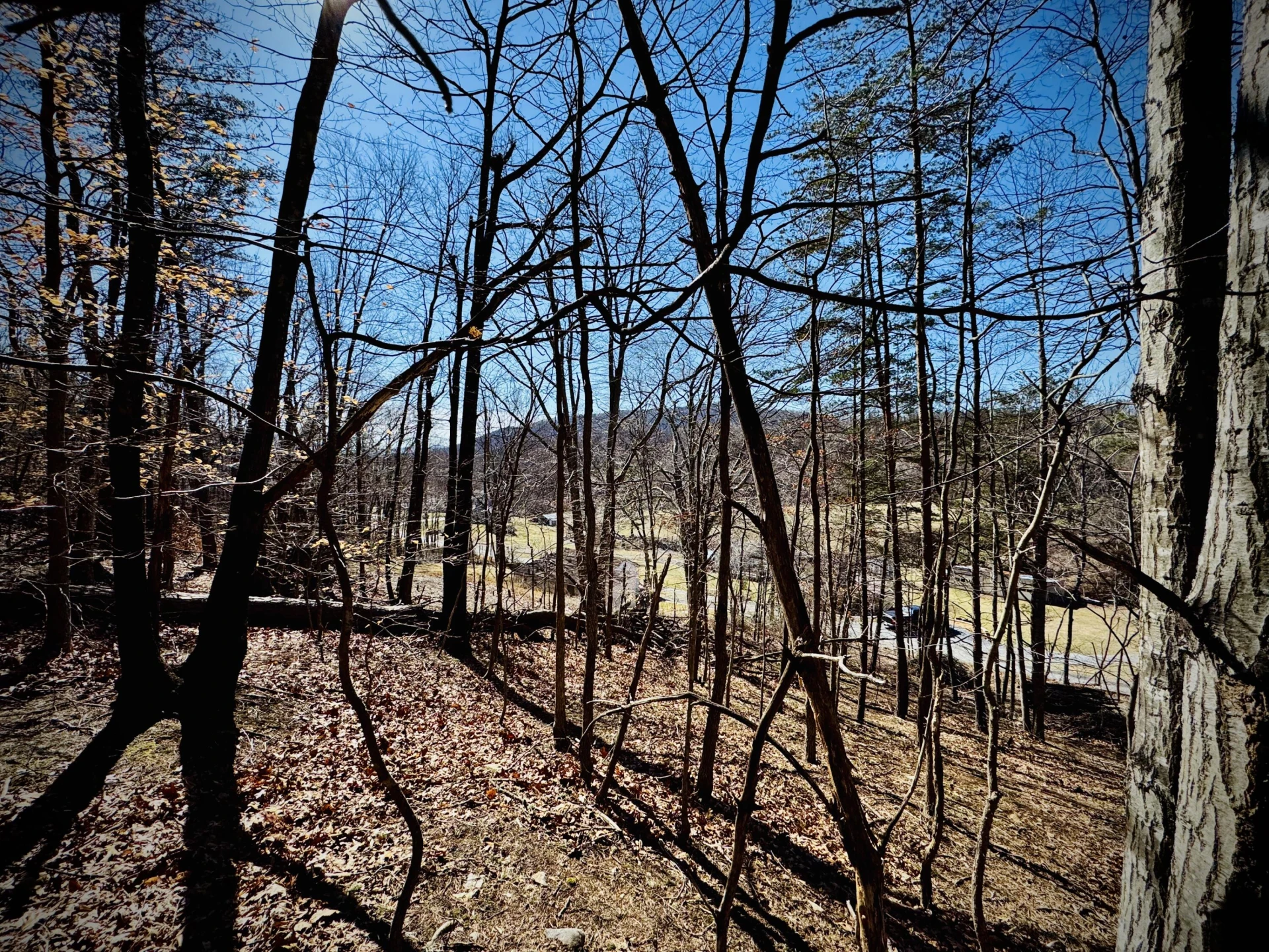 0 Laymantown RD - Photo 16