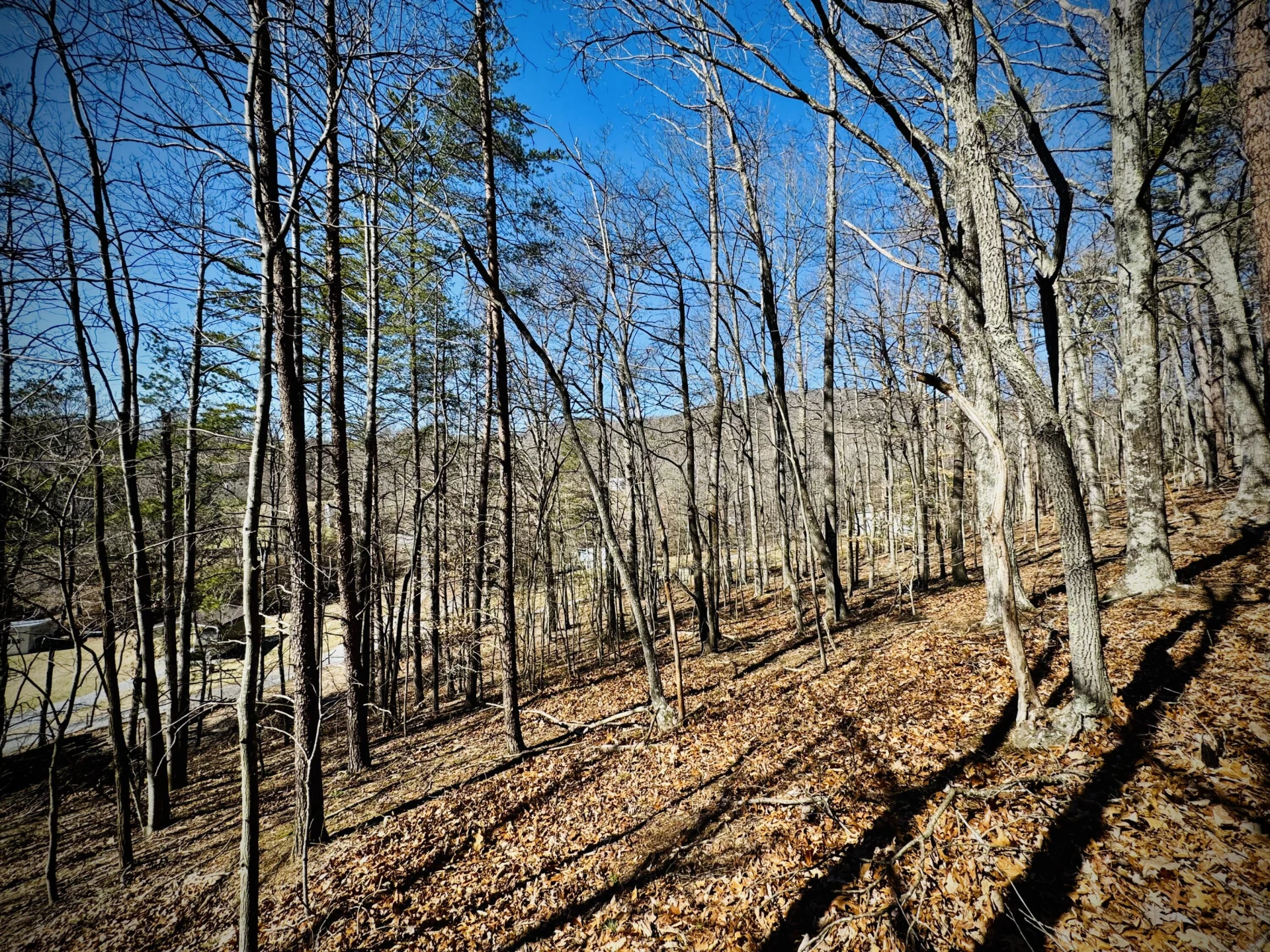 0 Laymantown RD - Photo 17