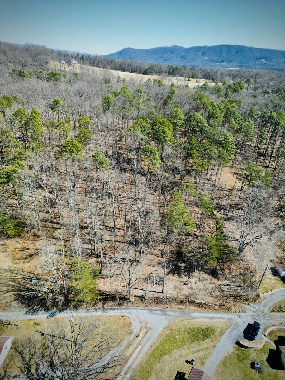 0 Laymantown RD - Photo 6