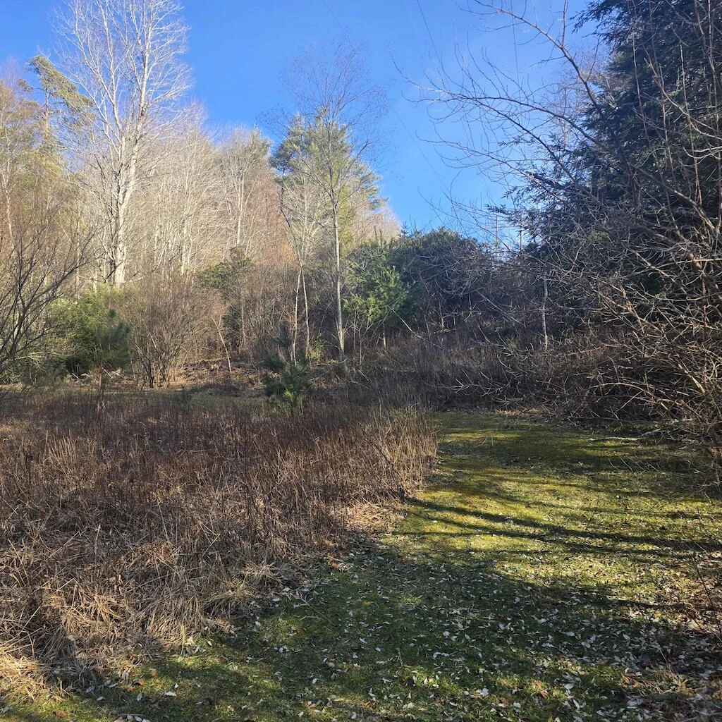 2333 Webbs Mill RD - Photo 36