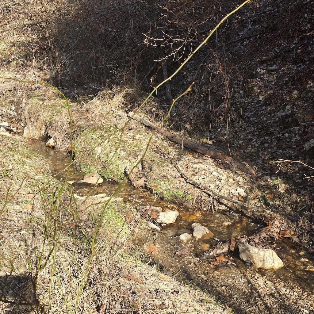2333 Webbs Mill RD - Photo 38