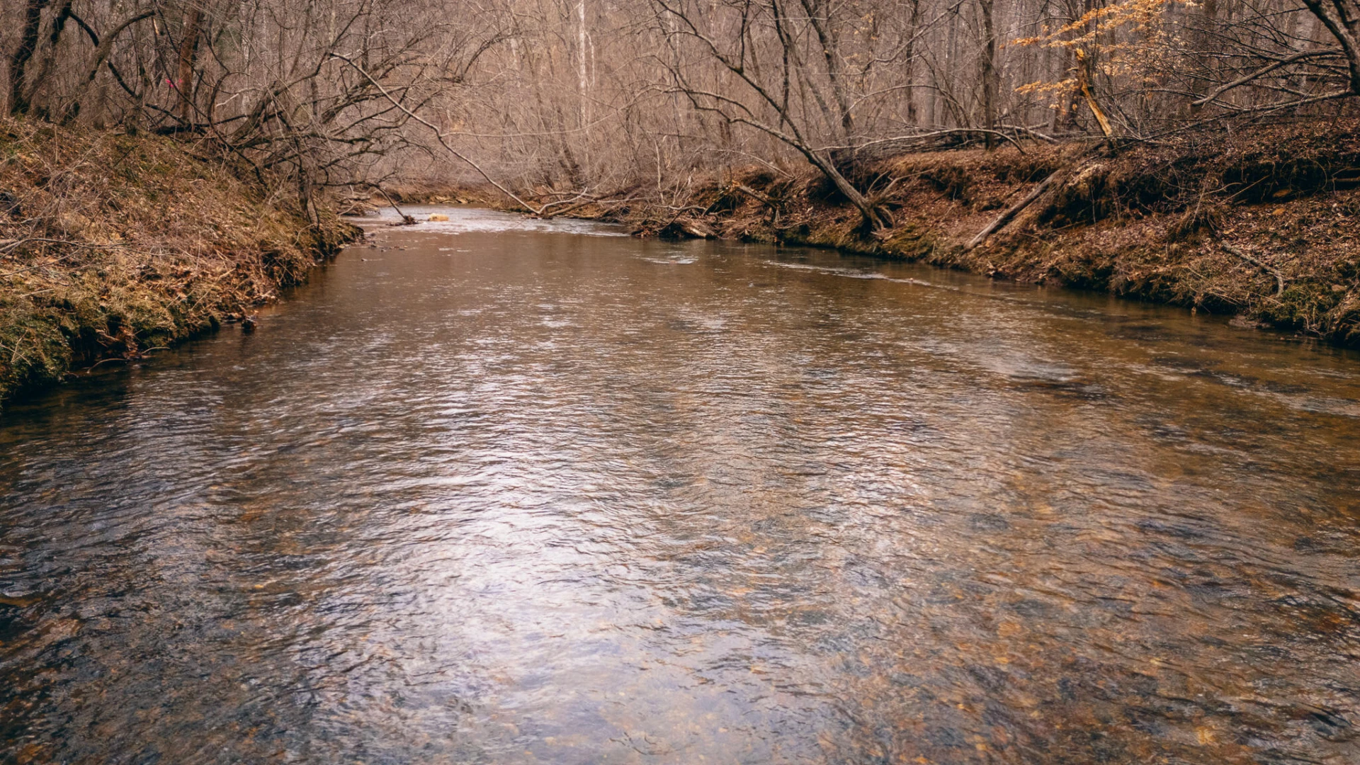 0 Pepper RD - Photo 11