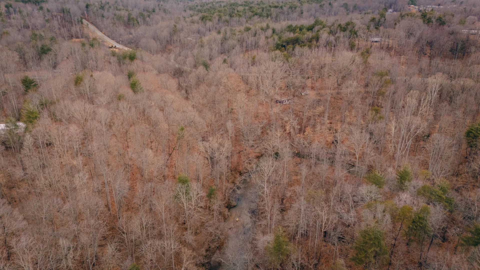 0 Pepper RD - Photo 3