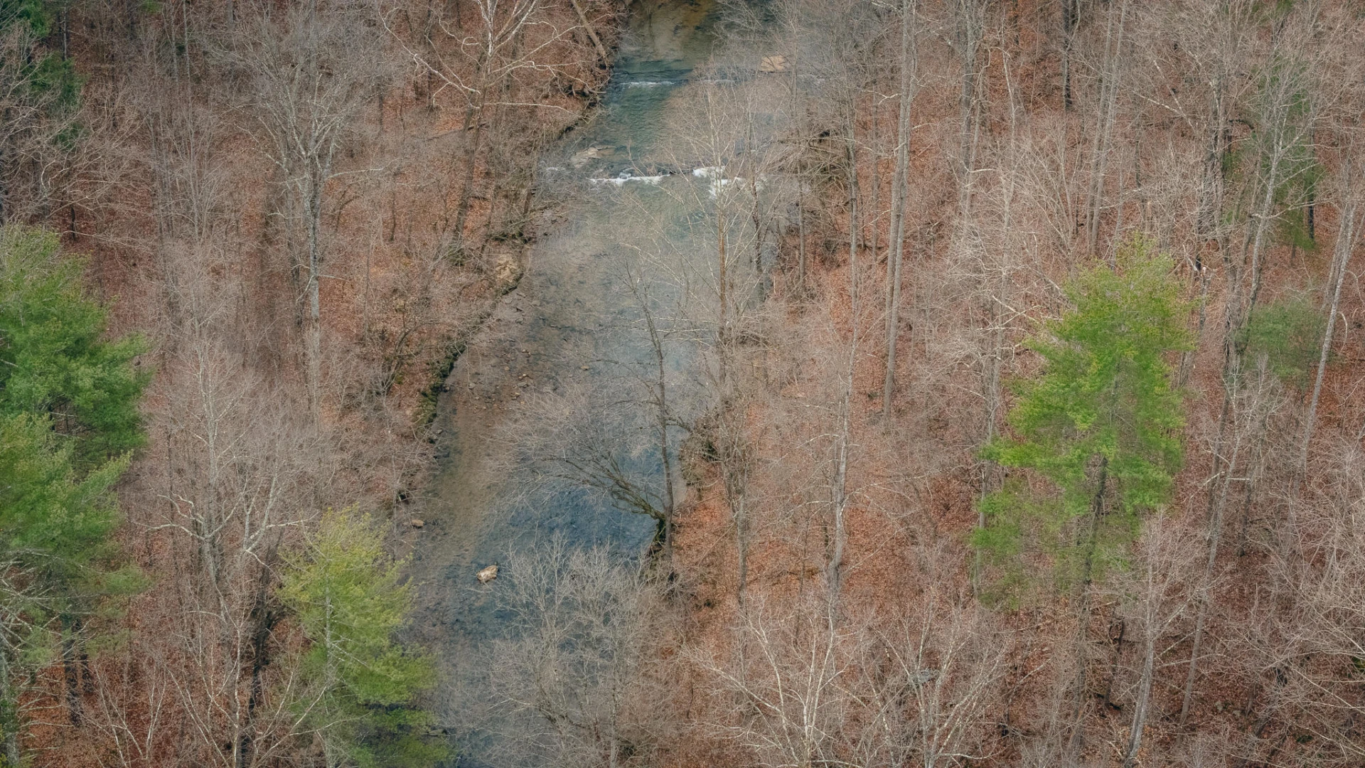 0 Pepper RD - Photo 5