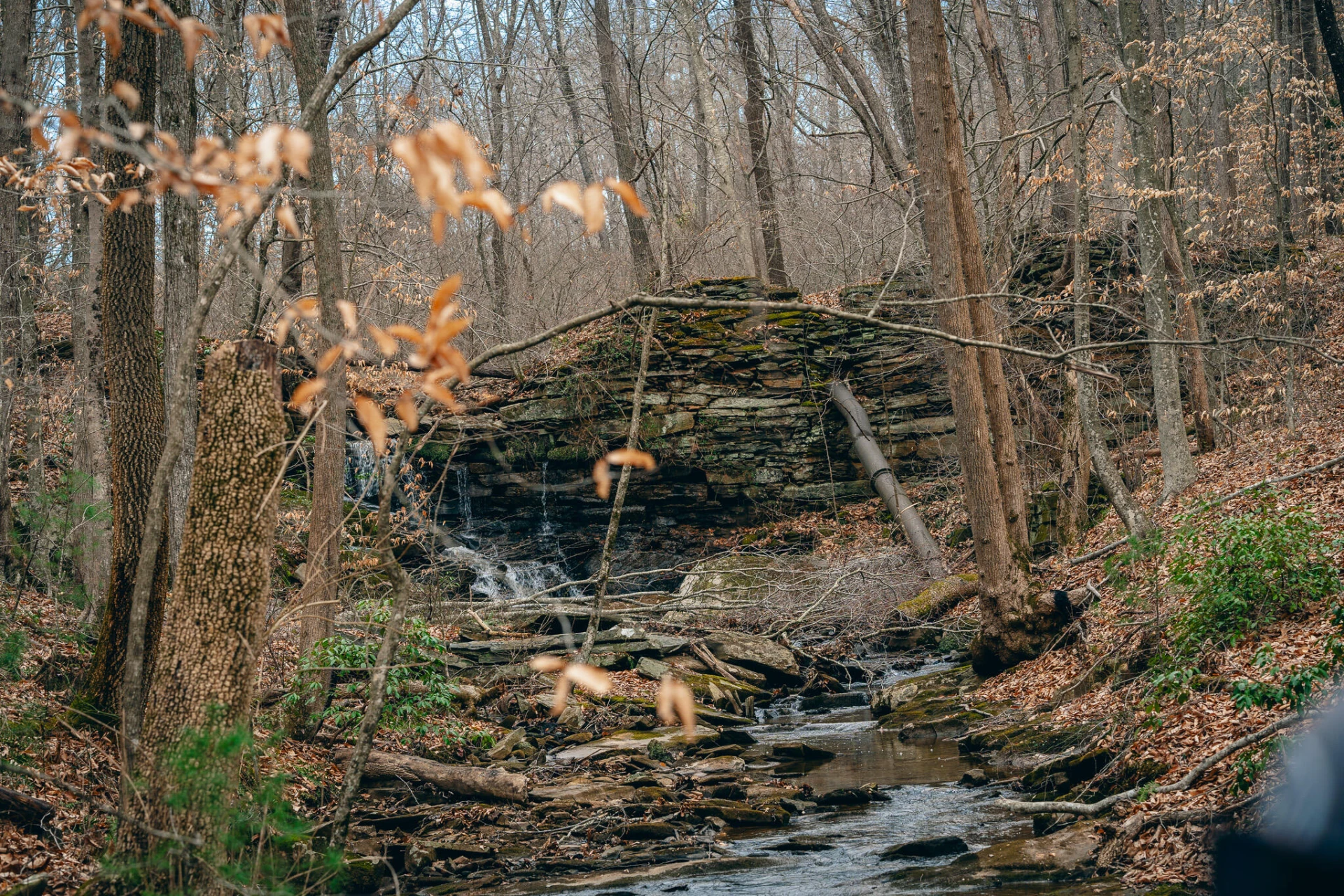 0 Pepper RD - Photo 8